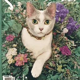 Pet Flowers profile picture for cats